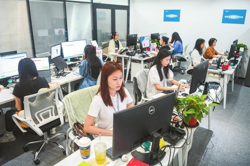 ?？诩铀贁祿缇硺I務發展，打造數字高地與軟件開發新引擎